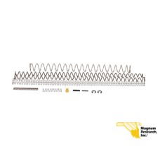 MRI Desert Eagle XIX Spring Tune Up Kit